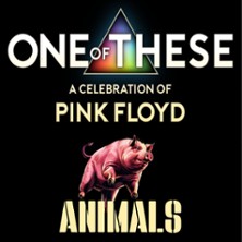 One Of These – A celebration of Pink Floyd / Animals Tour 10.10.2026 Blues Garage