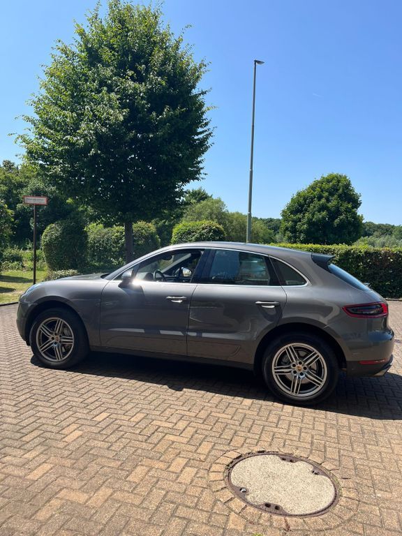Macan