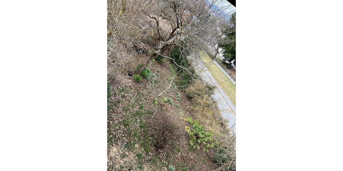 Einfamilienhaus Bodenmais - 135.000&euro; | Angebot:25724850