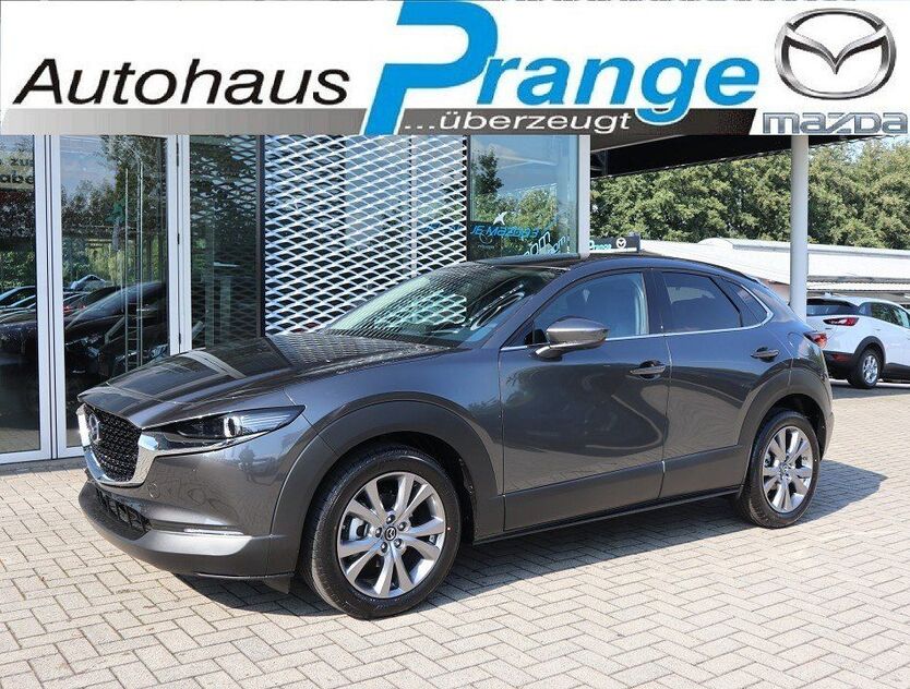 CX-30