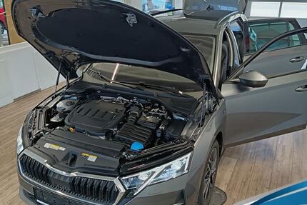 Skoda Octavia 21.633 km 31.879 &euro; Blankenburg/Harz 38889