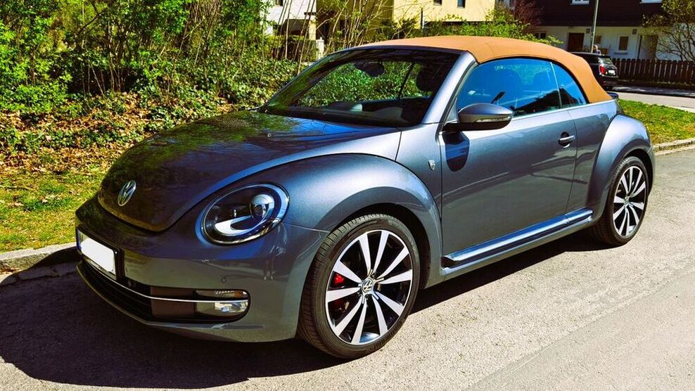 Beetle