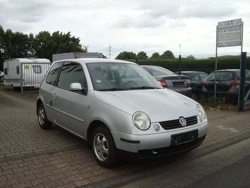 Lupo