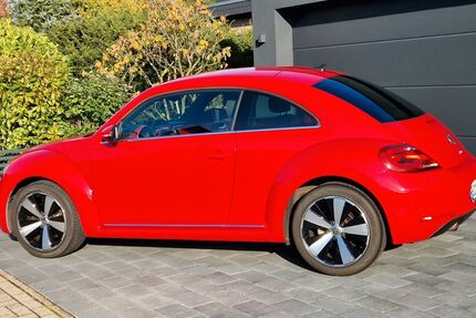 VW Beetle 95.500 km 9.900 € Bielefeld 33699