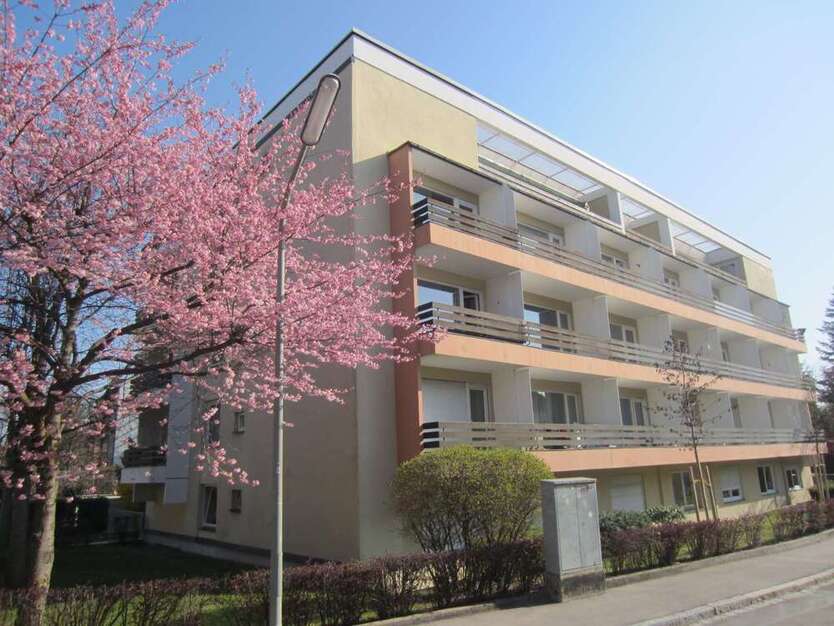 Wohnung zum Mieten in München 652 € 28 m²