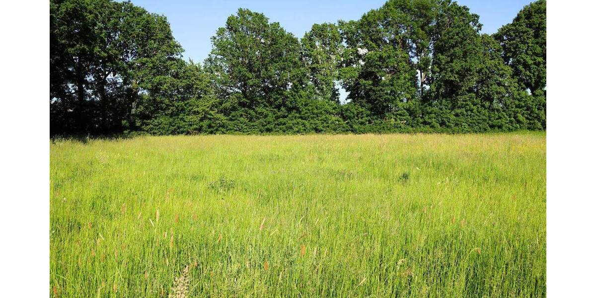 Grundstück Goldkronach Pöllersdorf - 270.000&euro; | Angebot:26797851
