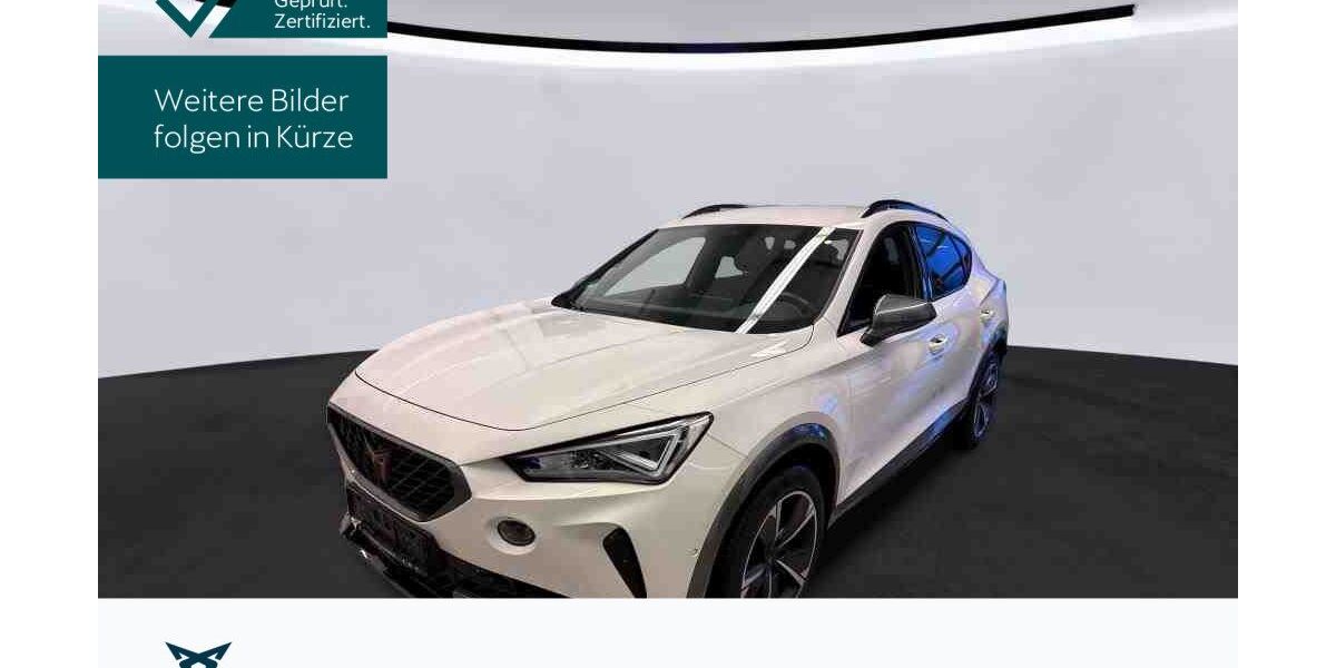 Cupra Formentor 30.569 km 25.430 &euro; Hofheim-Diedenbergen 65719