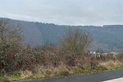 Grundstück Traben-Trarbach Traben - 70.500&euro; | Angebot:25692984