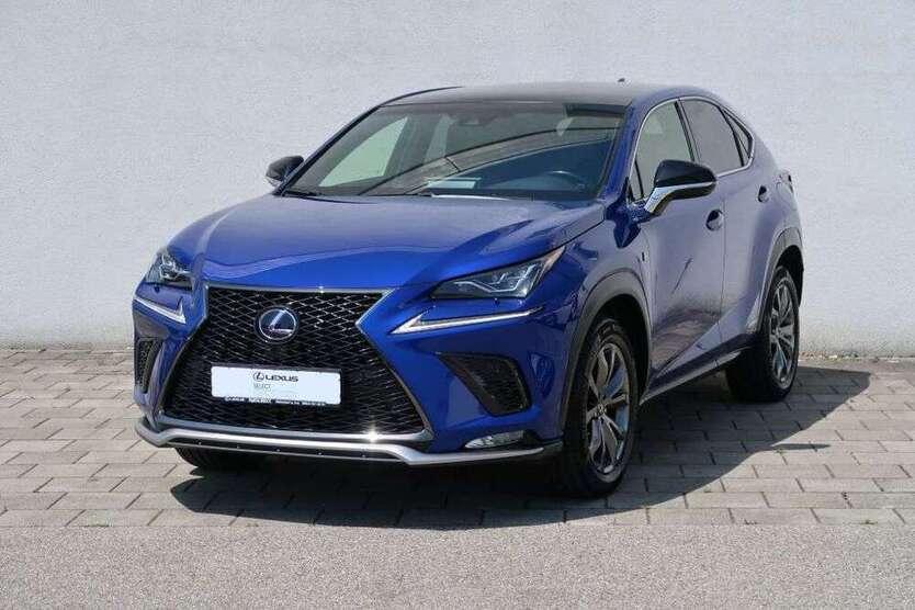 NX 300