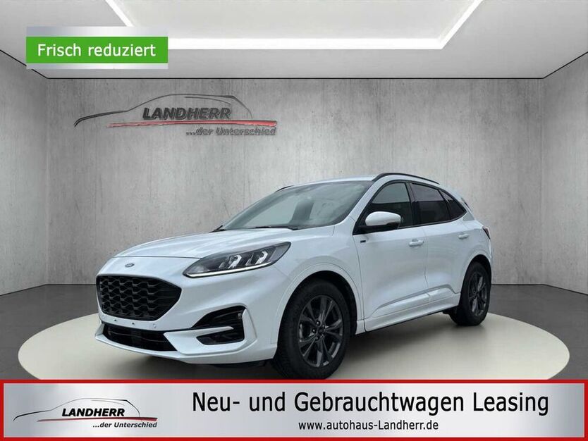 Kuga