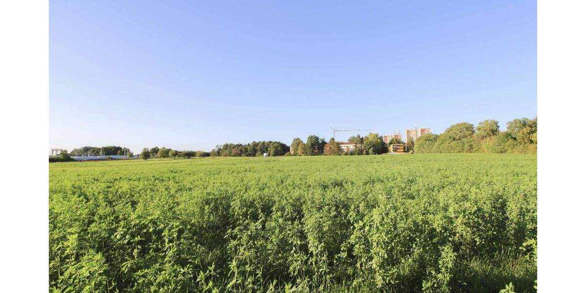 Grüne Aussichten: Grundstück mit Entwicklungschance in Erlangen zimmer