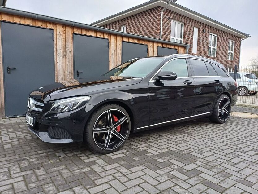 C 250