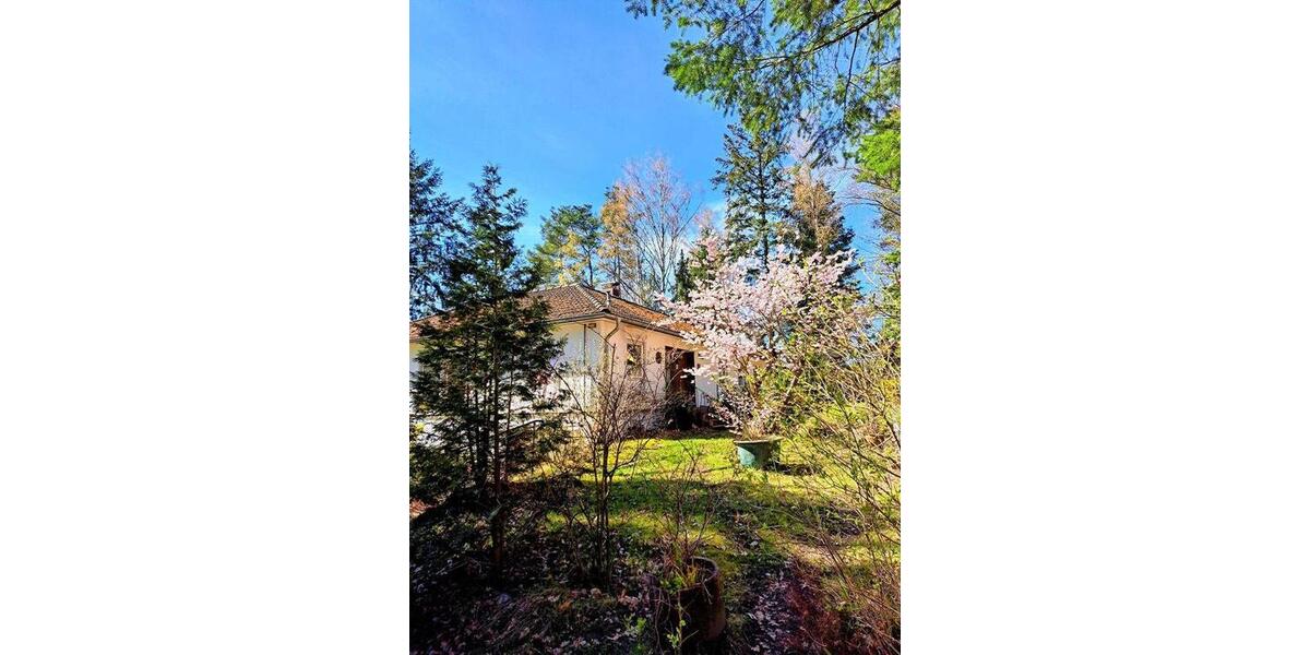 Bungalow Suderburg - 5 Zimmer, 130 m&sup2;, 238.000&euro; | Angebot:26144097
