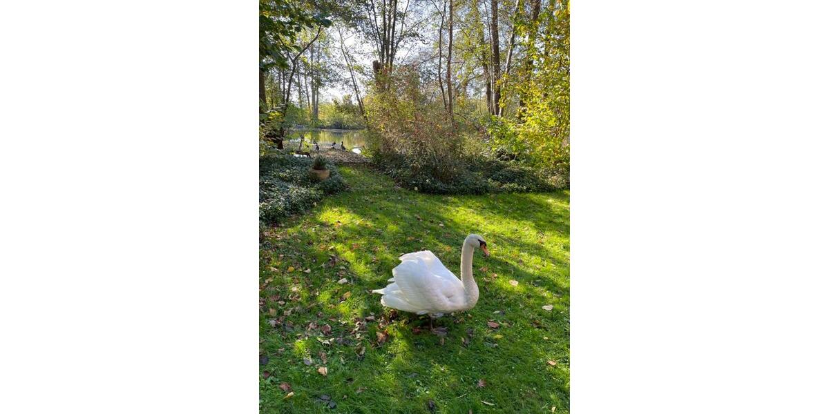 Einfamilienhaus Kempen - 2 Zimmer, 87 m&sup2;, 1.250&euro; | Angebot:24987609