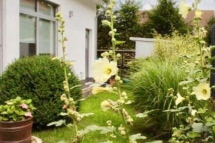 Niedrigenergiehaus in Zöllnitz (Jena) zur Miete zum Kaufen 4 zimmer