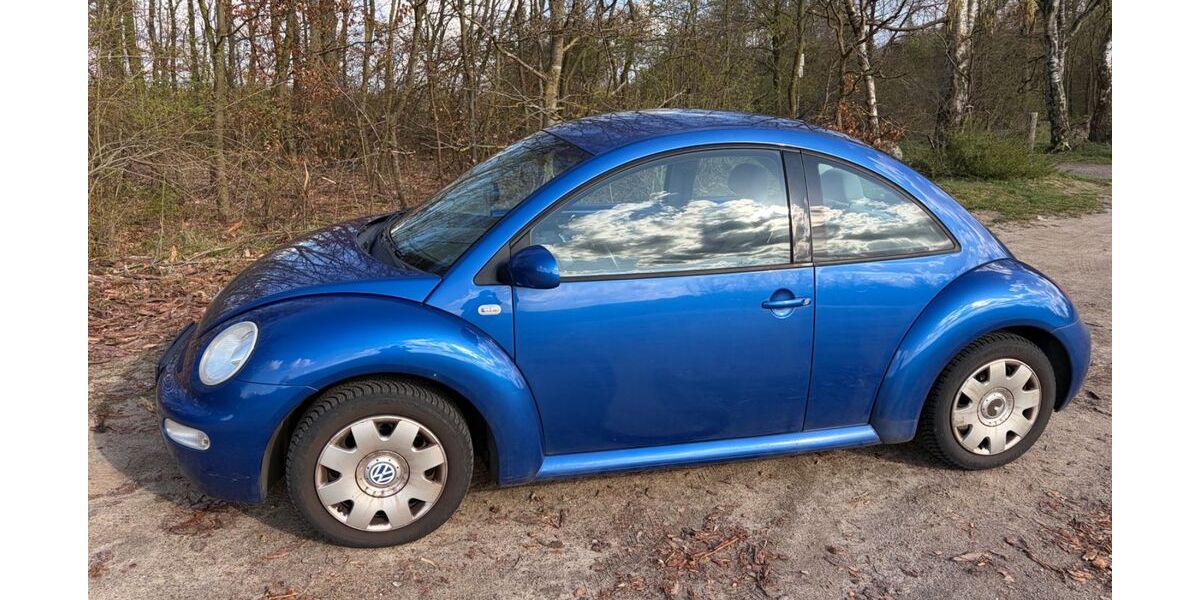 VW Beetle 150.000 km 2.499 &euro; Uelzen 29525