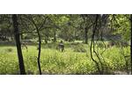 Ferienimmobilie München Allach-Untermenzing - 120&euro; | Angebot:26643692