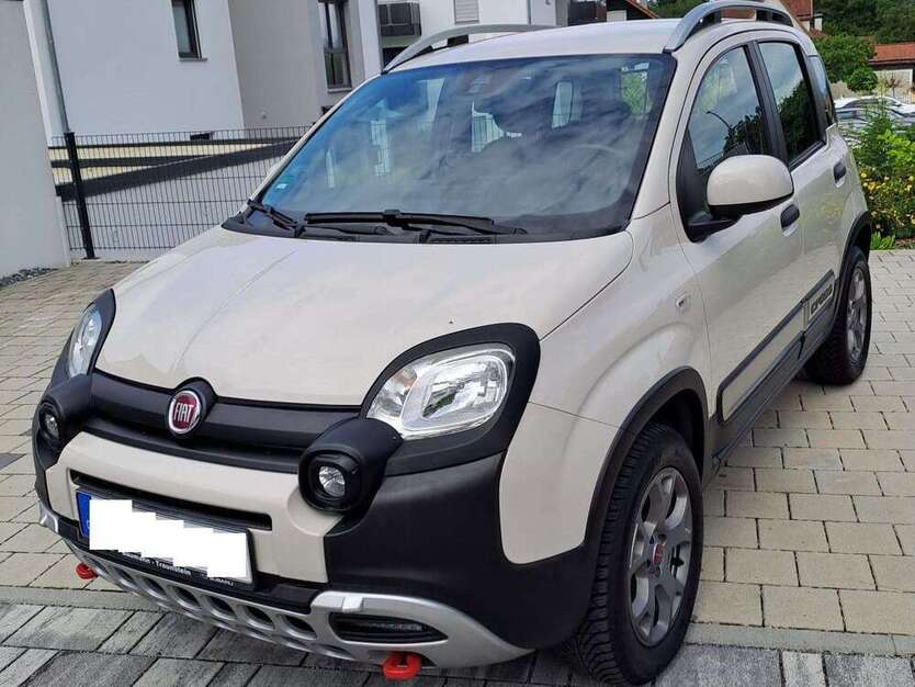 Panda