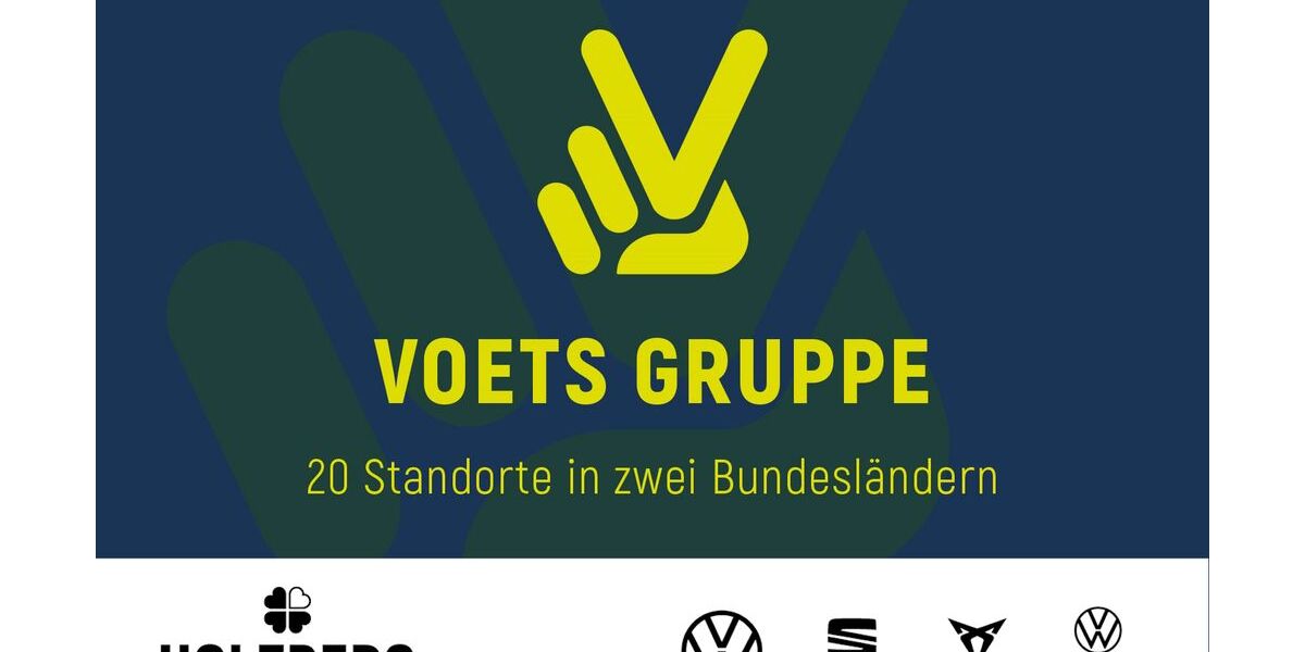 VW Passat 6.100 km 46.990 &euro; Braunschweig 38114