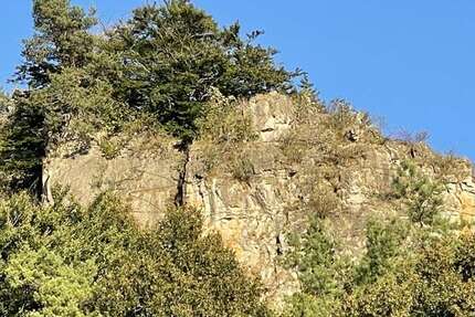 Gewerbeobjekt Mürlenbach - 1.675.000&euro; | Angebot:22913659