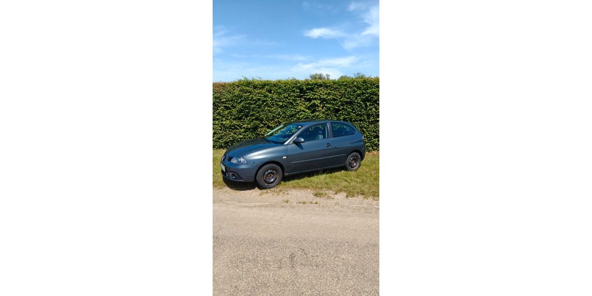 Seat Ibiza 106.509 km 1.250 &euro; Kenzingen 79341