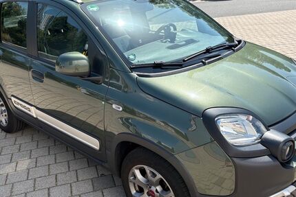 Fiat Panda 49.850 km 9.850 &euro; Kronberg im Taunus 61476