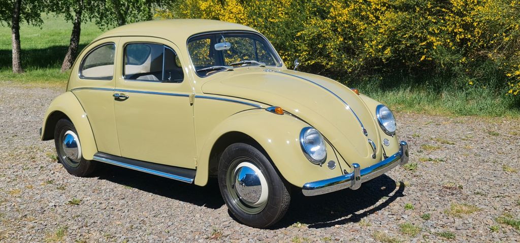 VW Käfer 99.999 km 21.500 &euro; Much 53804