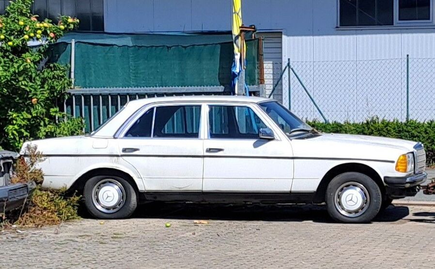 230