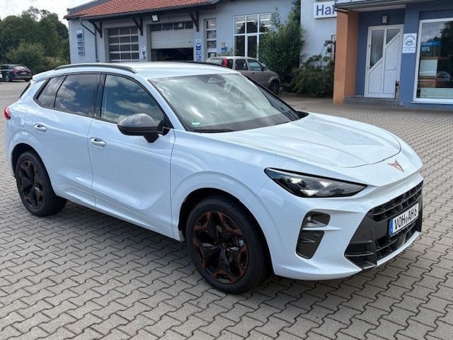 Cupra Terramar 7.500 km 33.900 &euro; Vohenstrauß 92648