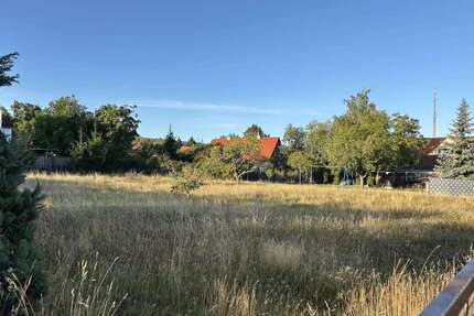 Grundstück zu verkaufen in Quedlinburg 75.000 € 1442 m² zimmer