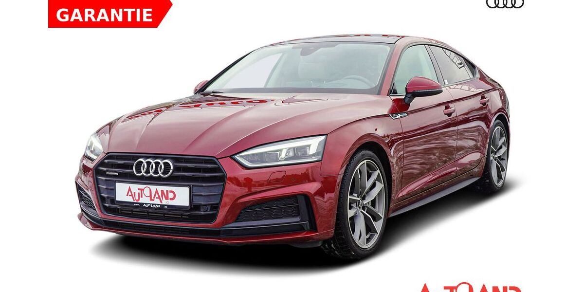 Audi A5 50.750 km 31.950 &euro; Senftenberg 01968