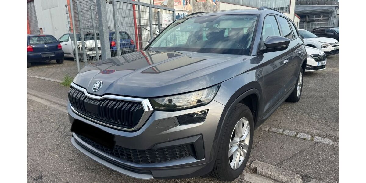 Skoda Kodiaq 320.000 km 14.900 &euro; KEHL 77694