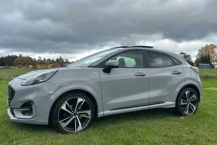 Ford Puma 89.000 km 15.999 € Montabaur 56410