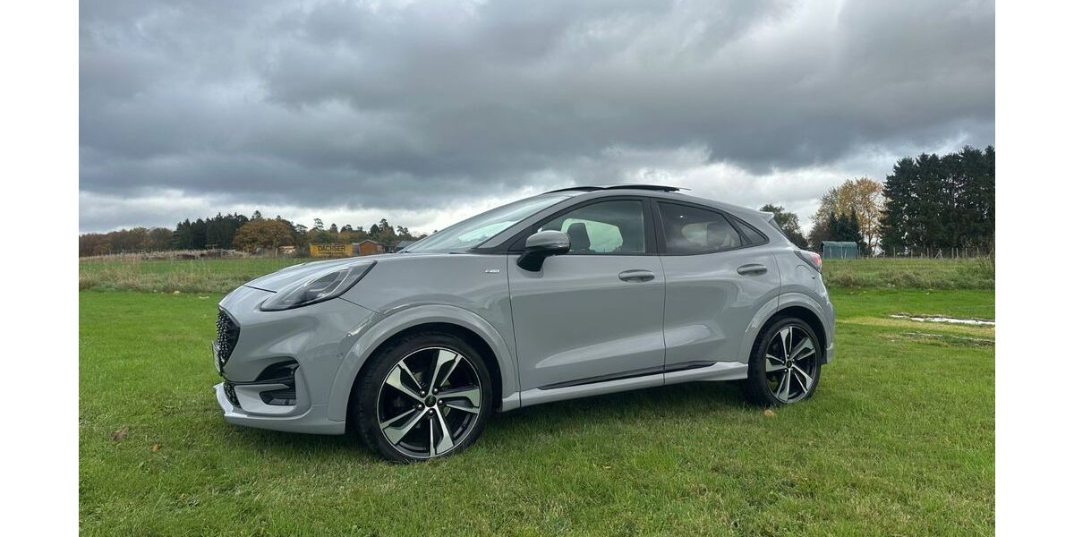 Ford Puma 89.000 km 15.999 € Montabaur 56410