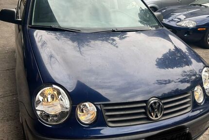 VW Polo 133.000 km 699 &euro; Offenbach 63069