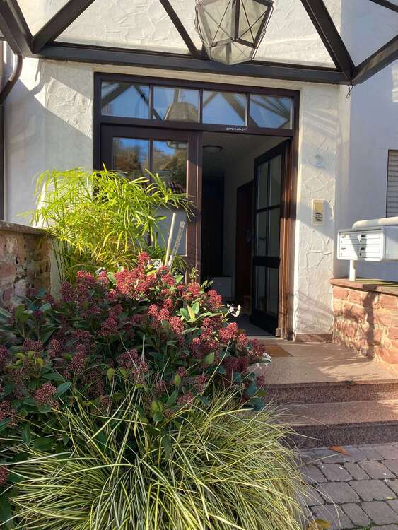 Wohnung zum Mieten in Neckargemünd 720 € 74 m² 3 zimmer