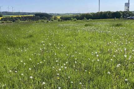 Grundstück Roth - 222.000&euro; | Angebot:22235237