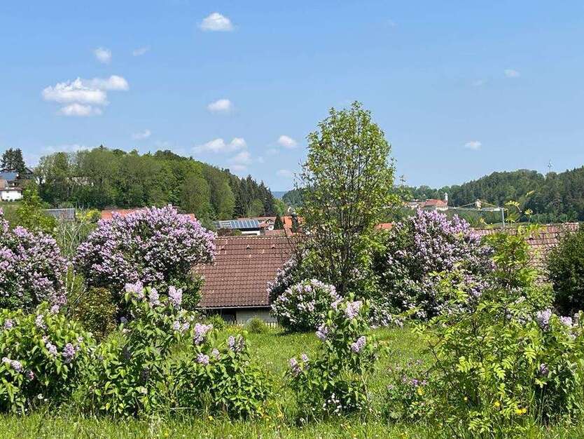 Grundstück zu verkaufen in Löffingen 215.000 € 1002 m²
