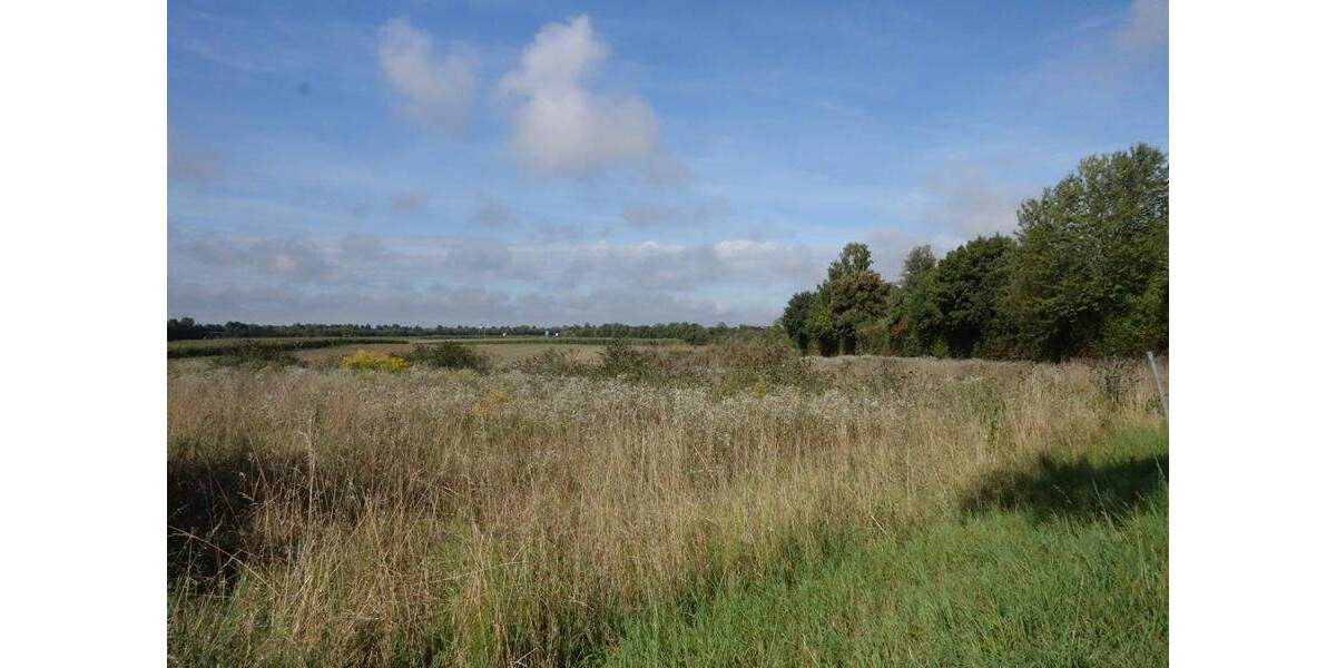Grundstück Steinach Münster - 685.000&euro; | Angebot:25672968