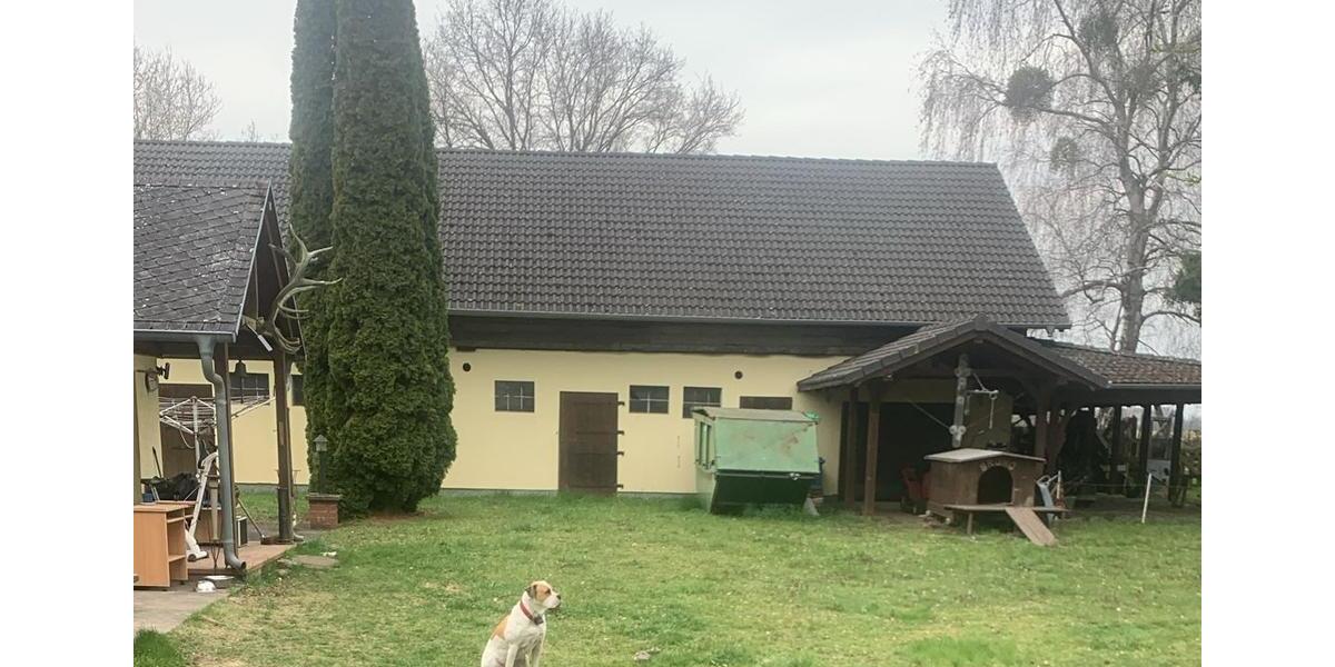 Einfamilienhaus Petershagen/Eggersdorf Eggersdorf - 5 Zimmer, 120 m&sup2;, 3.500&euro; | Angebot:26261566