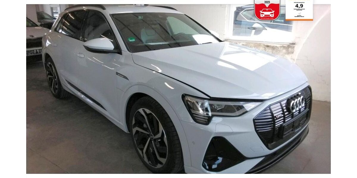 Audi e-tron 43.100 km 34.880 &euro; Albbruck 79774