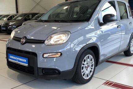 Fiat Panda 48.921 km 10.990 &euro; Buchholz in der Nordheide 21244