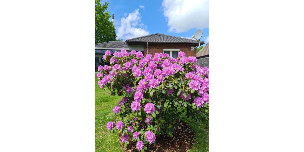 Einfamilienhaus Hemmingstedt - 4 Zimmer, 102 m&sup2;, 359.000&euro; | Angebot:25429163