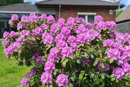 Haus Hemmingstedt - 4 Zimmer, 102 m&sup2;, 359.000&euro; | Angebot:25429163