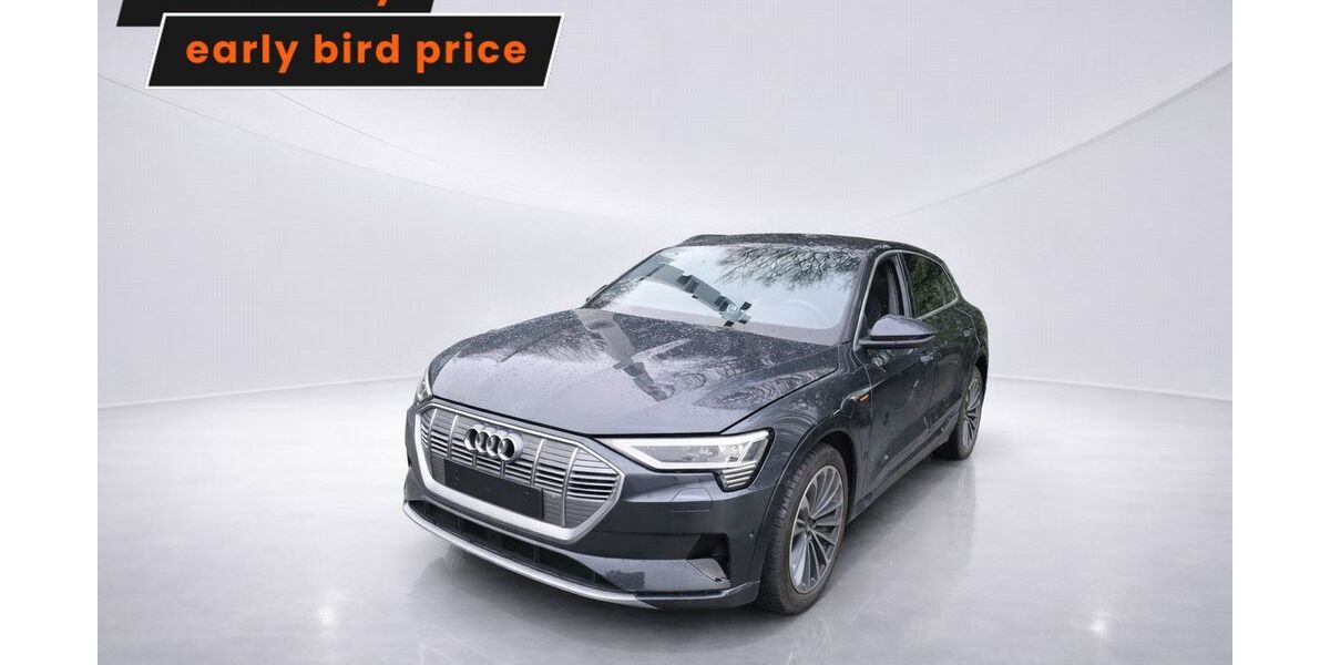 Audi e-tron 30.465 km 35.094 &euro; Ergolding 84030