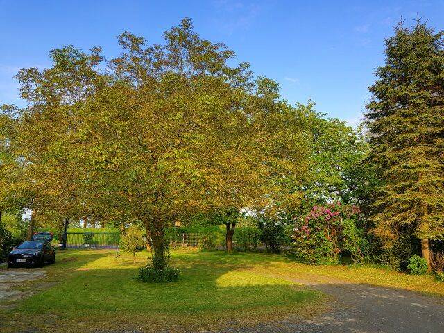 Mehrfamilienhaus, Wohnhaus Oberndorf - 6 Zimmer, 281 m&sup2;, 295.000&euro; | Angebot:26433644