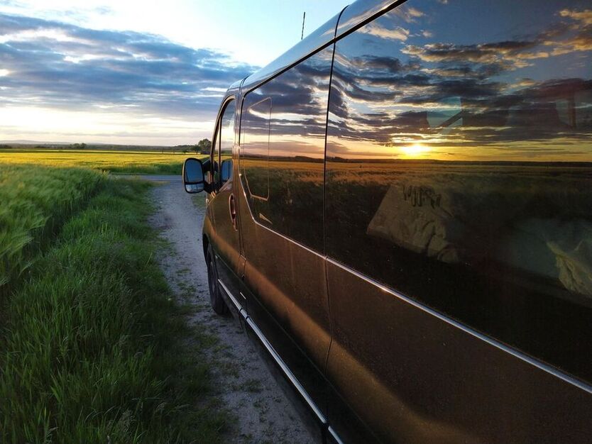 Vivaro