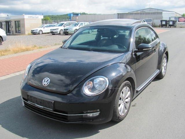 Beetle