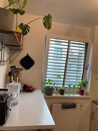 Etagenwohnung Fürth Südstadt - 2 Zimmer, 75 m&sup2;, 899&euro; | Angebot:26292765