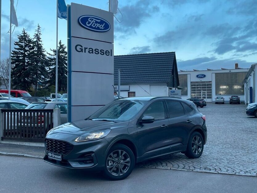 Kuga